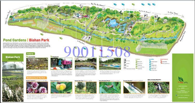 Bishan Street 12 thumbnail photo